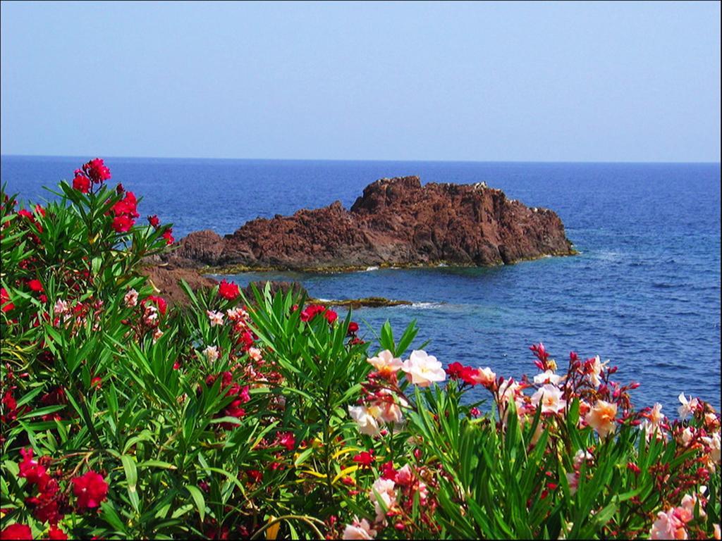 Vacanceole - Les Calanques Du Parc Frejus Ngoại thất bức ảnh
