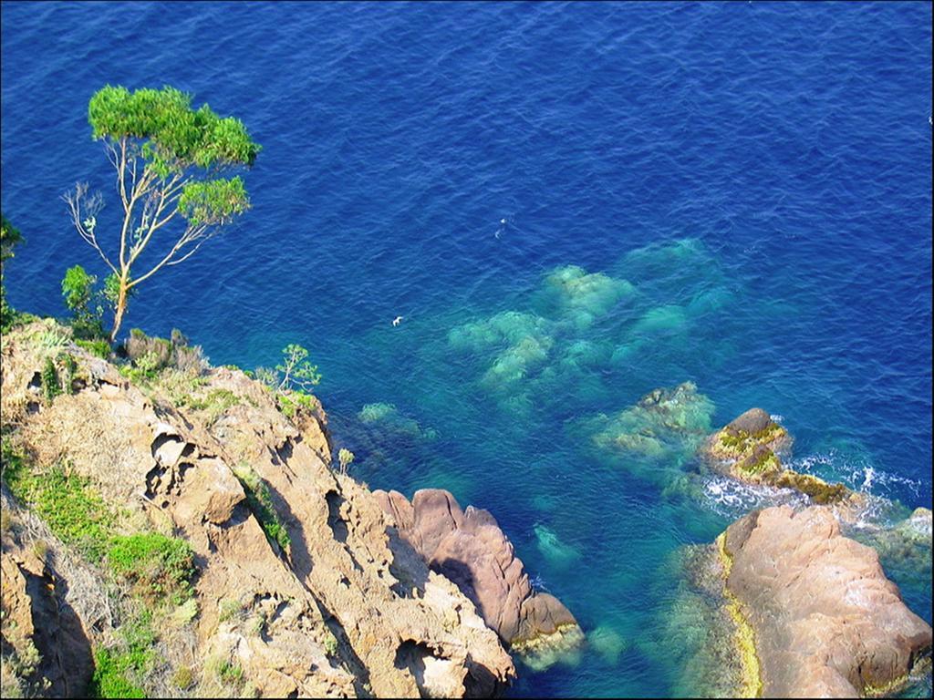 Vacanceole - Les Calanques Du Parc Frejus Ngoại thất bức ảnh
